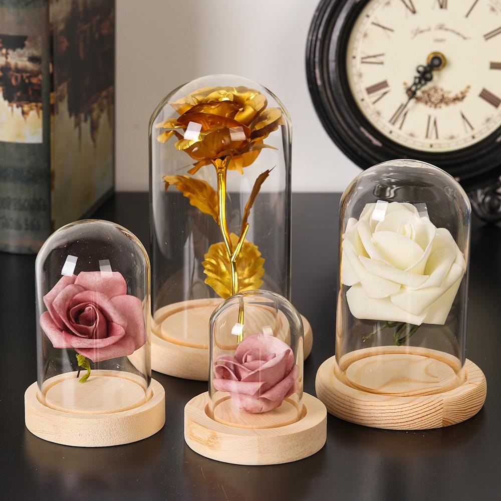 ホームデコレーション植物用ガラス瓶テラリウム、ガラス花瓶、防 - Home Decor Vase のレビューと価格