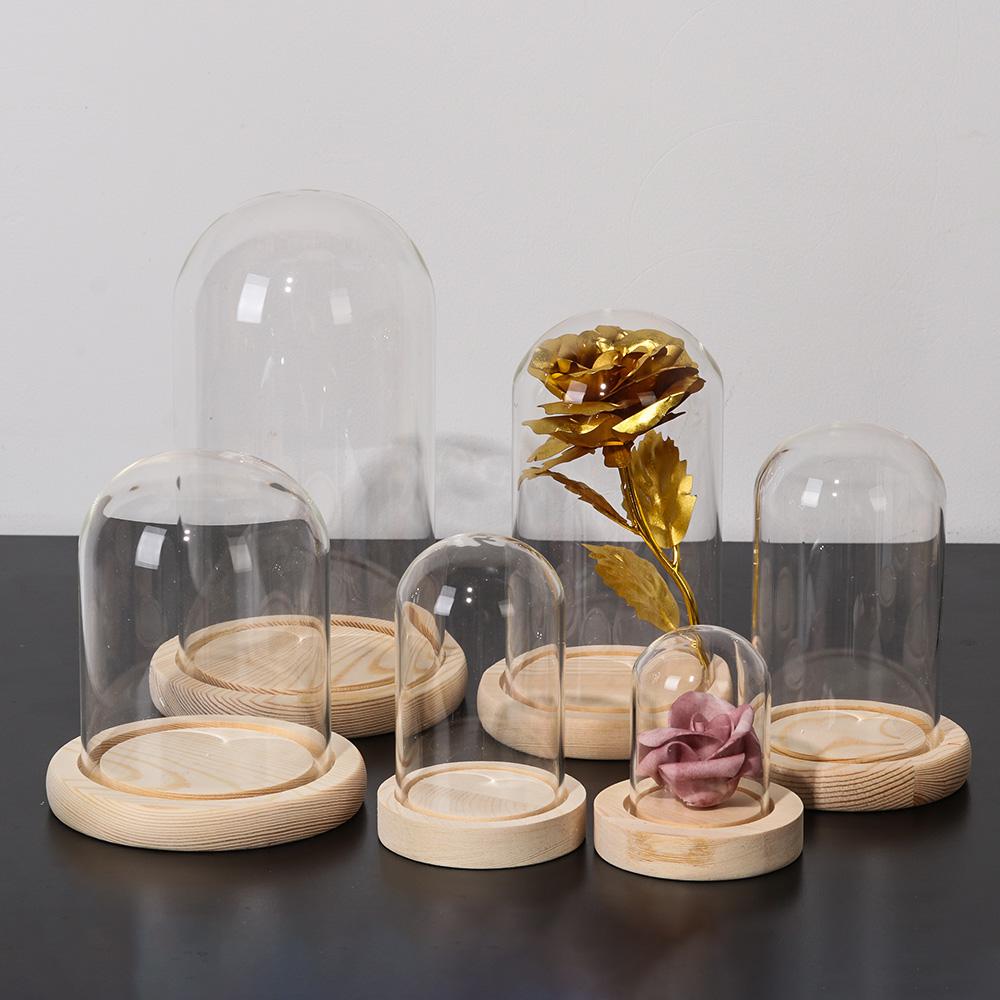 ホームデコレーション植物用ガラス瓶テラリウム、ガラス花瓶、防 - Home Decor Vase のレビューと価格