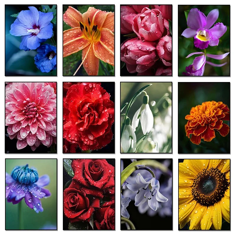 古典的なチューリップ、オランダカイウユリ、バラ、菊、美しい花 - Home Decor Tulip のレビューと価格